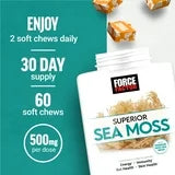 Sea Moss