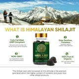 Shilajit